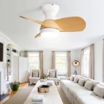 Ceiling Fan Manufacturer