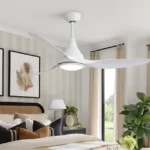 Ceiling Fan Manufacturer