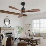 Ceiling Fan Manufacturer