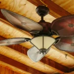 Ceiling Fan Manufacturer