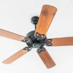 Ceiling Fan Manufacturer