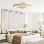 Ceiling Fan Manufacturer