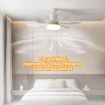Ceiling Fan Manufacturer