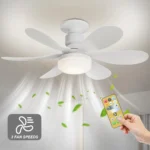 Ceiling Fan Manufacturer