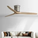Ceiling Fan Manufacturer