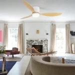Ceiling Fan Manufacturer