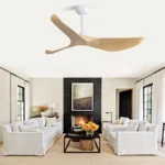 Ceiling Fan Manufacturer