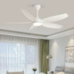 Ceiling Fan Manufacturer
