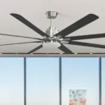 Ceiling Fan Manufacturer