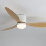 Ceiling Fan Manufacturer