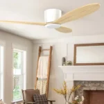 Ceiling Fan Manufacturer