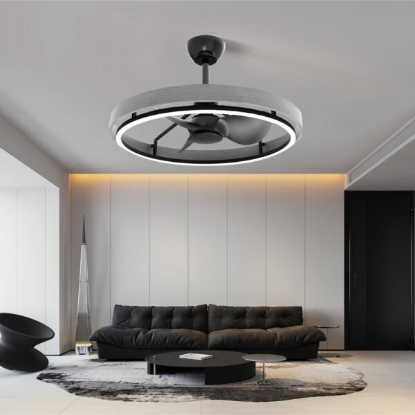 Modern 25 Inch Bedroom Smart Fan Light