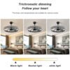 Modern 25 Inch Bedroom Smart Fan Light