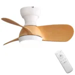 Ceiling Fan Manufacturer