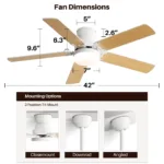 Ceiling Fan Manufacturer