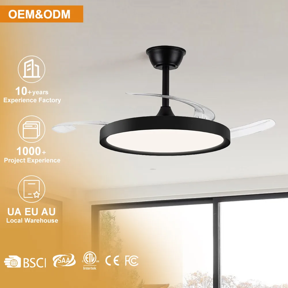 Ceiling Fan Manufacturer 42 Inch Indoor Black Retractable Led Ceiling Fan - Image 9