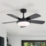 Ceiling Fan Manufacturer