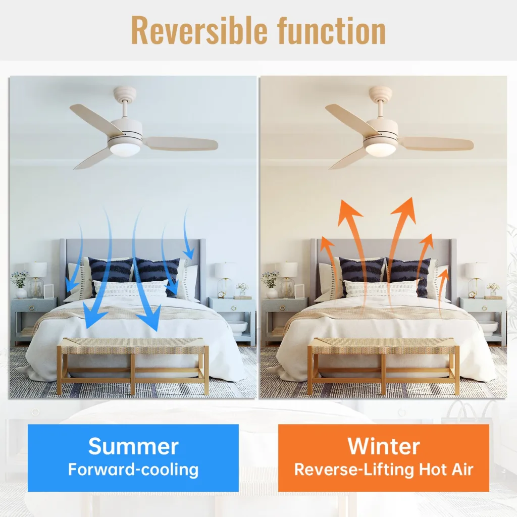 Ceiling Fan Manufacturer