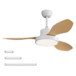 Ceiling Fan Manufacturer