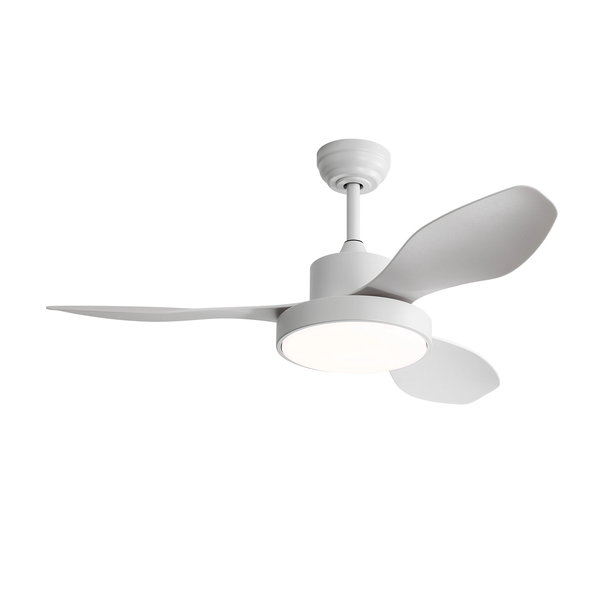 Modern Ceiling Fan