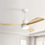 Ceiling Fan Manufacturer