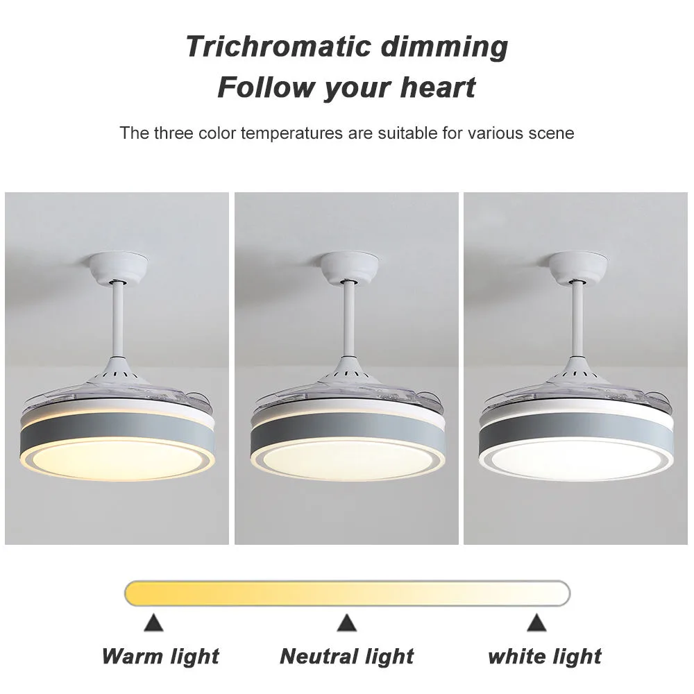Ceiling Fan Manufacturer 42 Inch Retractable Modern White Led Ceiling Fan Light Kit - Image 3