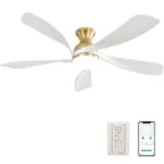 Ceiling Fan Manufacturer