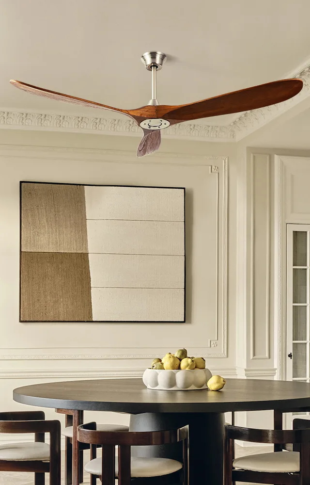 Ceiling Fan Manufacturer