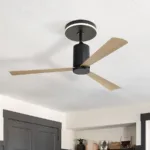 Ceiling Fan Manufacturer