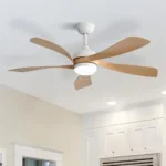 Ceiling Fan Manufacturer