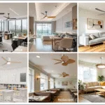 Ceiling Fan Manufacturer