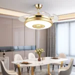 Ceiling Fan Manufacturer