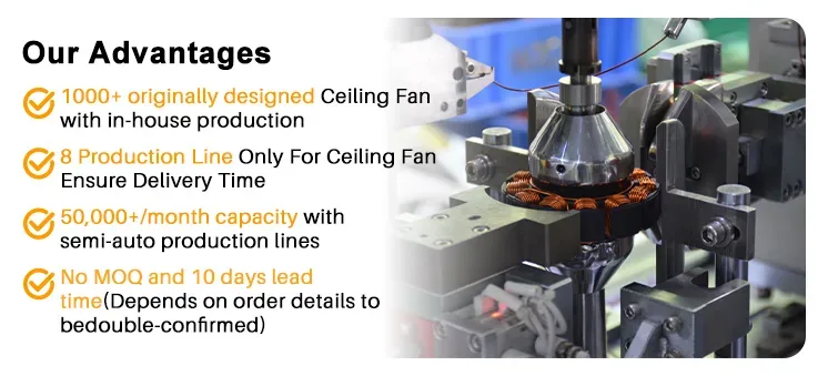 Product Advantages